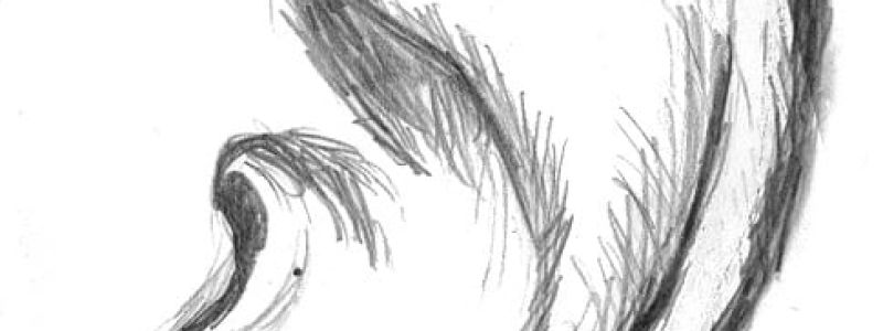 # 2 cosapossofare per te