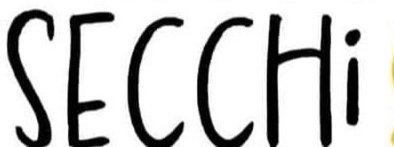 Capelli Secchi ?  ecco La soluzione