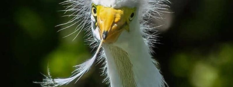 “Ci sono cose che succedono solo di giovedì”